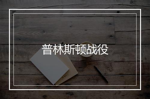 普林斯顿战役