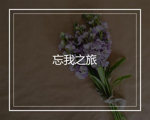 忘我之旅