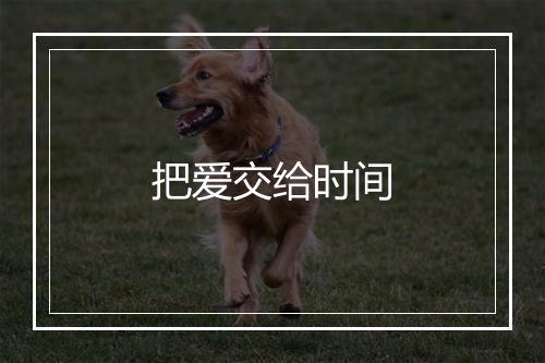 把爱交给时间