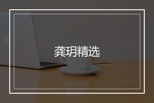 龚玥精选