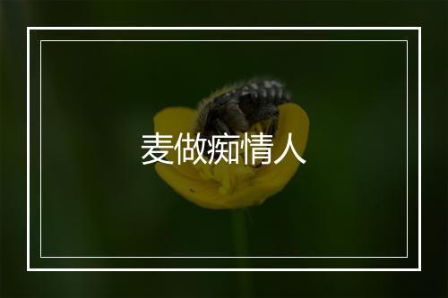 麦做痴情人