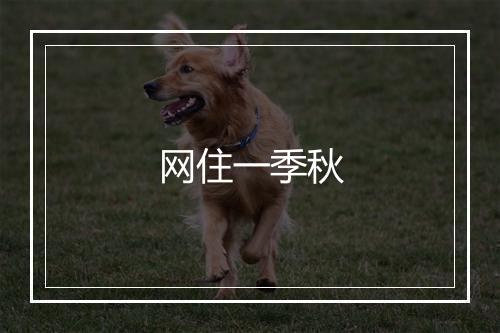 网住一季秋