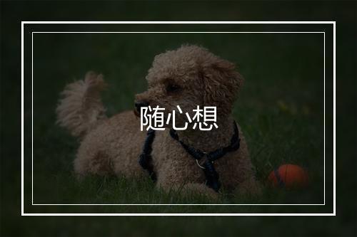 随心想