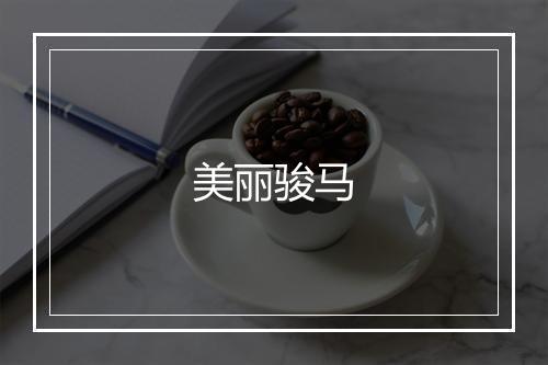 美丽骏马