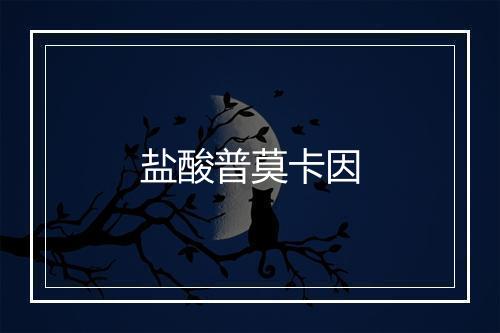 盐酸普莫卡因