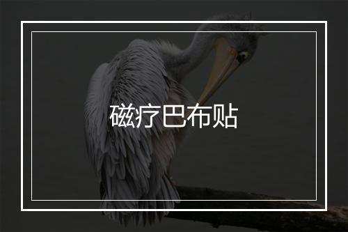 磁疗巴布贴