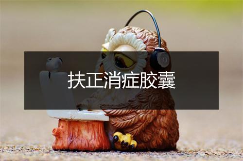 扶正消症胶囊