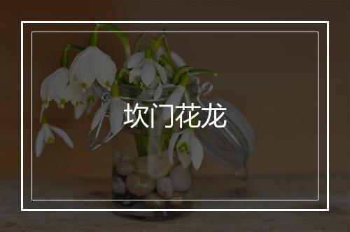 坎门花龙