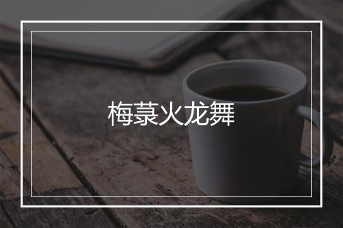 梅菉火龙舞