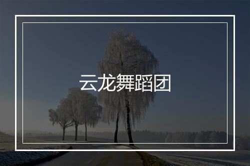 云龙舞蹈团