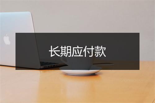 长期应付款