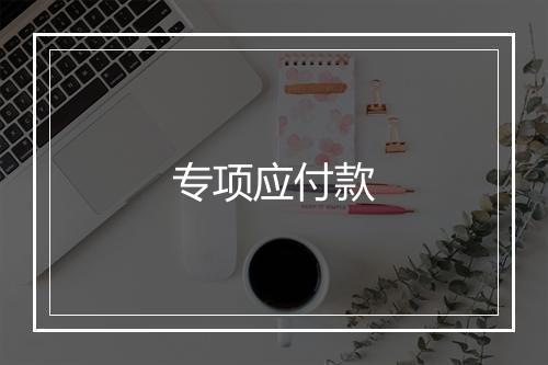 专项应付款