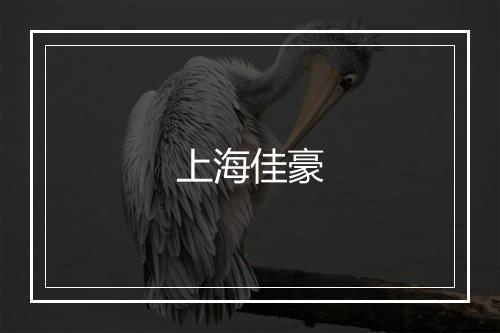 上海佳豪