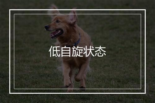 低自旋状态