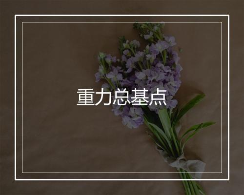 重力总基点