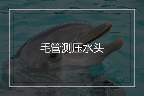 毛管测压水头