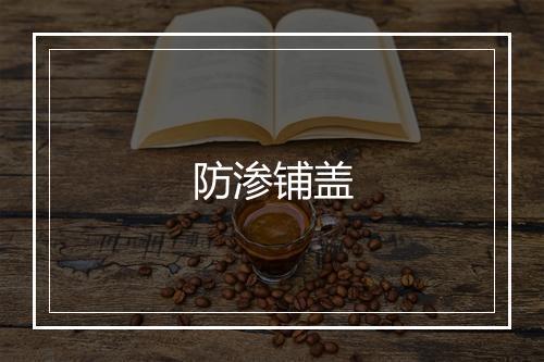 防渗铺盖