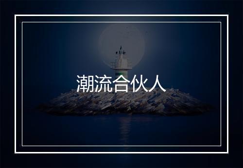 潮流合伙人