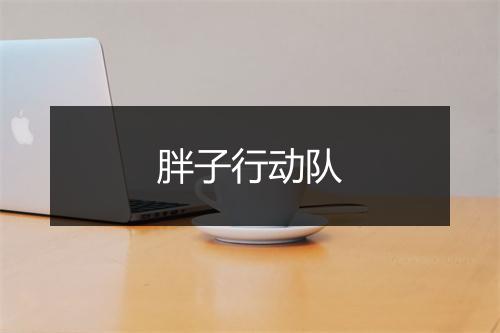 胖子行动队