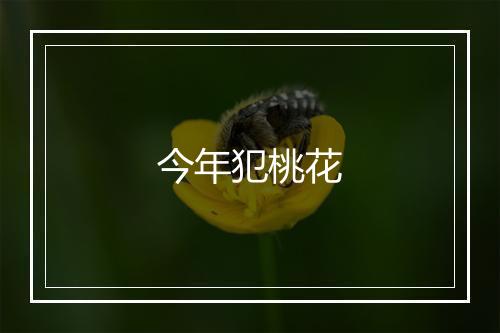 今年犯桃花