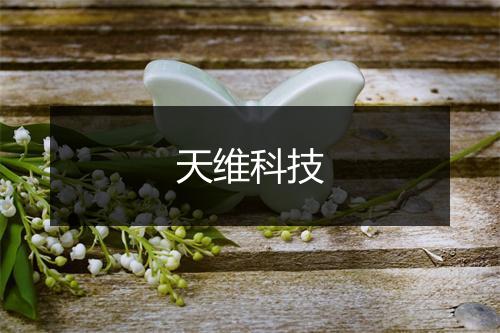 天维科技