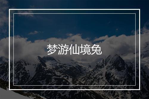 梦游仙境兔