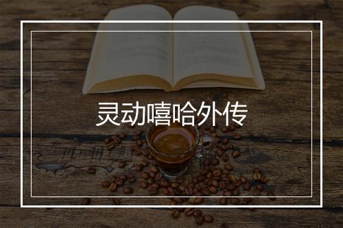 灵动嘻哈外传