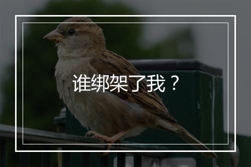 谁绑架了我？