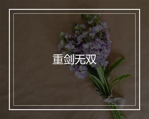 重剑无双