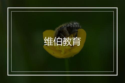 维伯教育