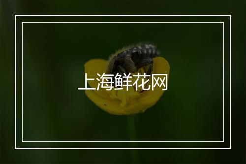 上海鲜花网