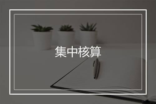 集中核算