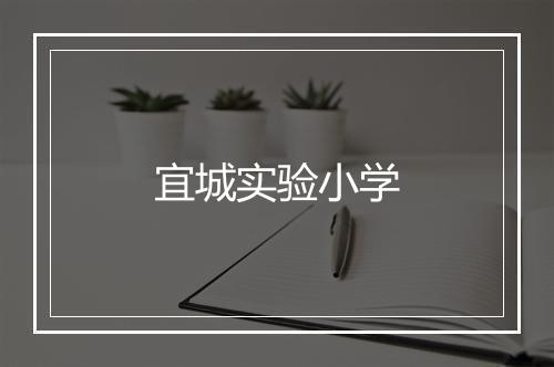 宜城实验小学