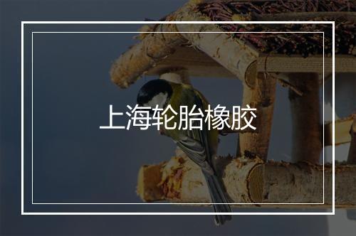 上海轮胎橡胶