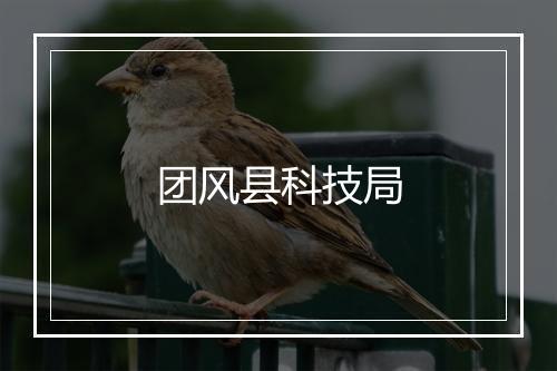 团风县科技局