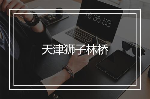 天津狮子林桥