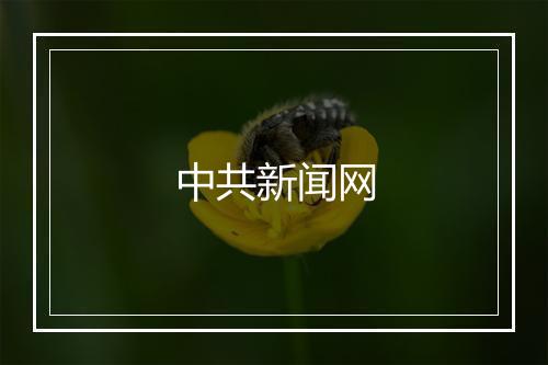 中共新闻网