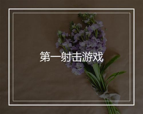 第一射击游戏