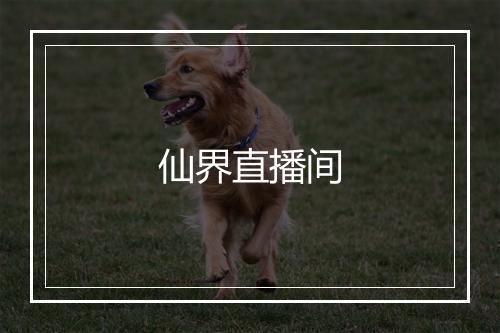 仙界直播间