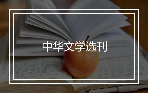 中华文学选刊