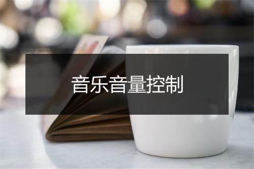 音乐音量控制