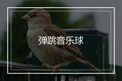 弹跳音乐球