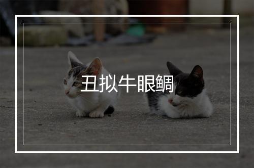 丑拟牛眼鲷