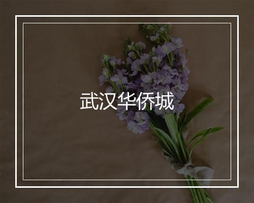 武汉华侨城