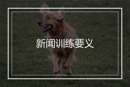 新闻训练要义