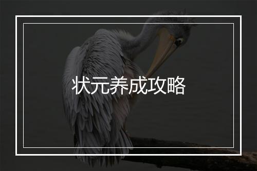 状元养成攻略