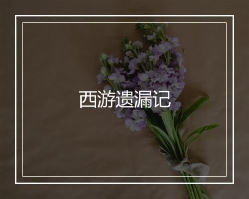 西游遗漏记