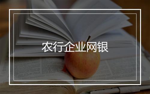 农行企业网银