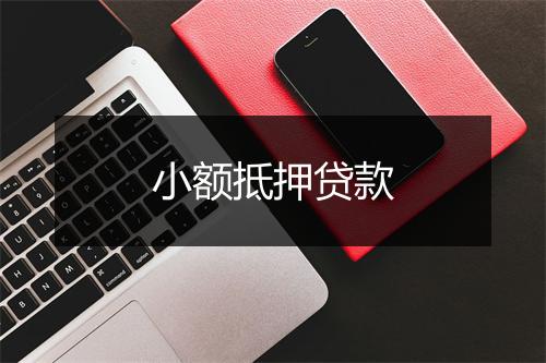 小额抵押贷款