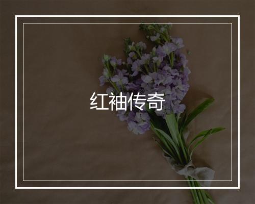 红袖传奇